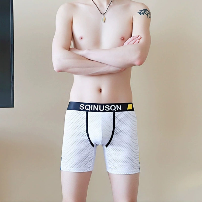 Men's Ice Silk Mesh Boxer Brie - Long Leg Trunk Men recension och pris
